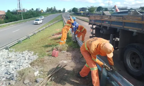 
				
					Bahia Norte faz manutenção na BA-535 e BA-093; veja alterações
				
				