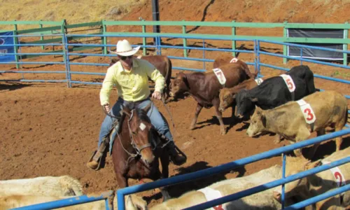 
				
					Bahia recebe nova edição de Ranch Sorting; saiba mais
				
				