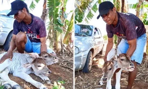 
				
					Bezerra nasce com duas cabeças em cidade do oeste da Bahia
				
				