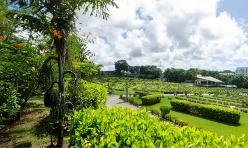 
				
					Bosque Da Paz: Cemitério Parque conta com estrutura receptiva em SSA
				
				