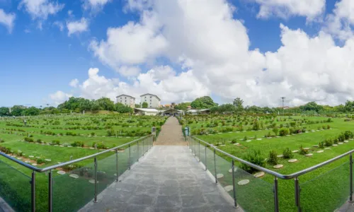 
				
					Bosque da Paz divulga programação para o Dia dos Finados; confira
				
				