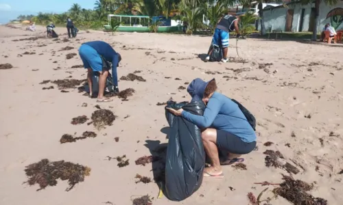 
				
					Campanha realiza mutirão de limpeza na praia de Stella Maris
				
				