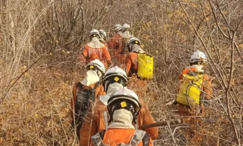 
				
					Cerca de 200 bombeiros combatem a incêndios florestais pela Bahia
				
				