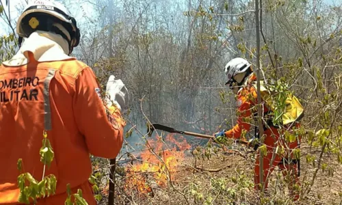 
				
					Cerca de 200 bombeiros combatem a incêndios florestais pela Bahia
				
				