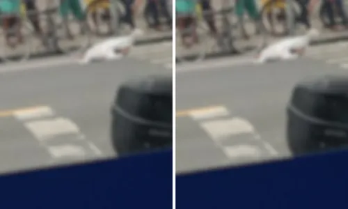 
				
					Ciclista morre após ser atropelado por ônibus em Salvador
				
				
