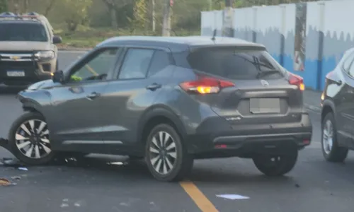 
				
					Criminosos roubam carro e batem na fuga no Jardim das Margaridas
				
				