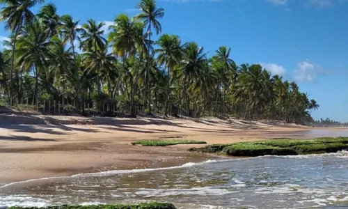 
				
					Festival Tempero no Forte celebra Costa dos Coqueiros em 17ª edição
				
				