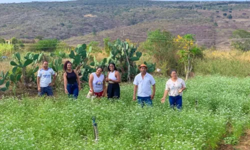 
				
					Festival de Inverno Bahia 2023 bate recorde de iniciativas sustentáveis
				
				