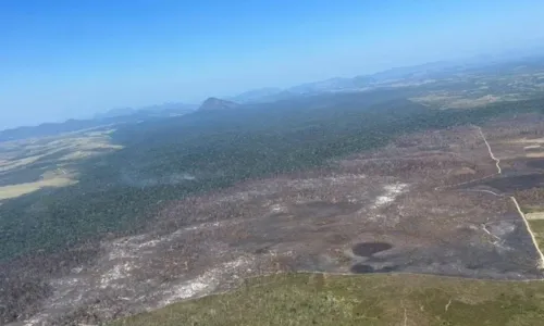 
				
					Fogo é controlado no Parque do Monte Pascoal depois de 11 dias
				
				