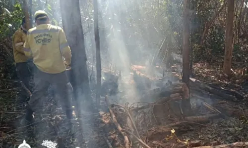 
				
					Fogo é controlado no Parque do Monte Pascoal depois de 11 dias
				
				