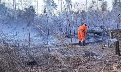 
				
					Fogo é controlado no Parque do Monte Pascoal depois de 11 dias
				
				