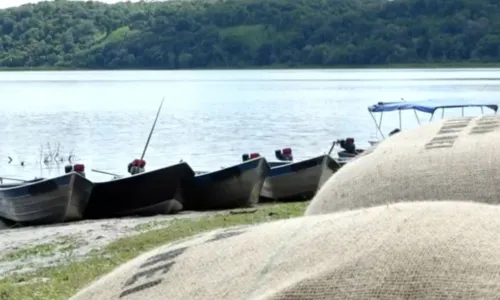 
				
					Gravações de 'Renascer' em Ilhéus, na Bahia, seguem até fim de outubro
				
				