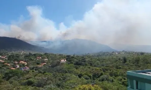 
				
					Grupo de 200 bombeiros combate incêndios florestais na Bahia; VÍDEOS
				
				