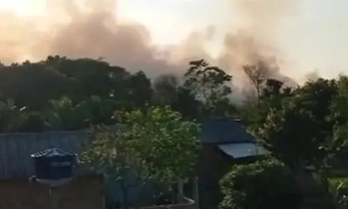 
				
					Incêndio atinge Reserva Indígena Pataxó em Porto Seguro
				
				