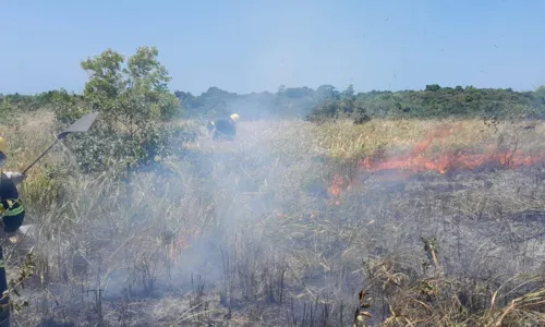 
				
					Incêndio atinge área de vegetação em cidade no sul da Bahia
				
				
