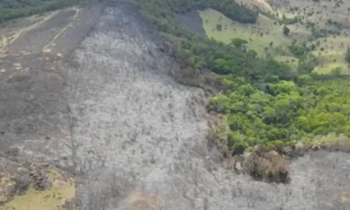 
				
					Incêndio em Ituaçu, na Bahia, é controlado pelo Corpo de Bombeiros
				
				