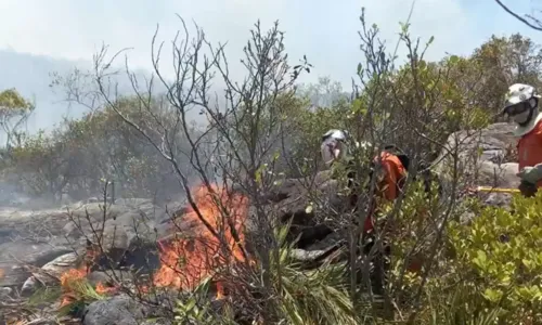 
				
					Incêndio já destruiu área de mil campos de futebol em Ituaçu
				
				