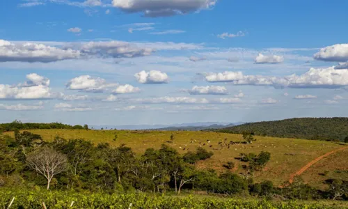 
				
					Itinga da Serra ou Antônio Gonçalves? conheça mais a cidade sertaneja
				
				