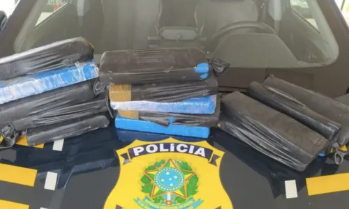 
				
					Jovem de 17 anos é apreendida com 10 quilos de maconha em ônibus na BA
				
				