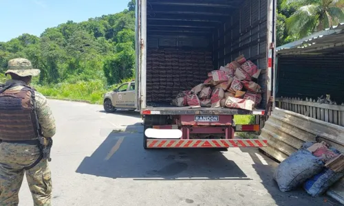 
				
					Mais de 1.500 sacos de de carvão ilegal são apreendidos em Salvador
				
				