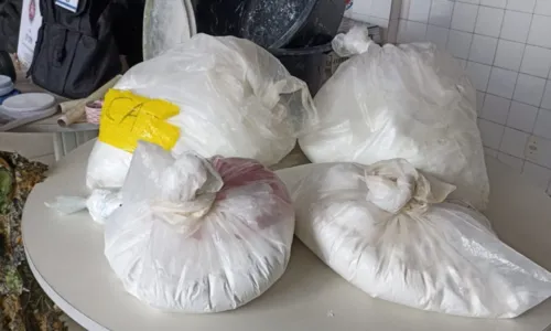 
				
					Operação acha laboratório de drogas e apreende 60 kg de cocaína na BA
				
				