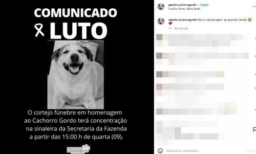 
				
					População organiza cortejo fúnebre para homenagear cachorro na Bahia
				
				