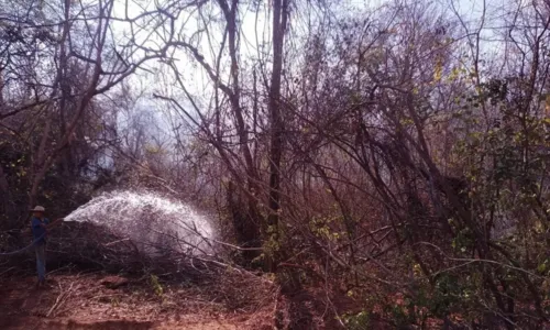 
				
					Regiões da Bahia registram temperatura próxima dos 40°C; saiba motivo
				
				