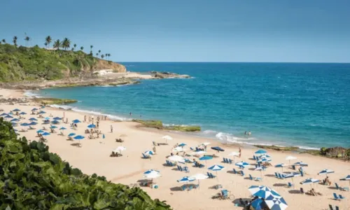 
				
					Salvador tem 11 praias impróprias para banho neste final de semana; confira
				
				