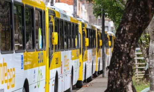 
				
					Salvador tem mudança em 19 linhas de ônibus a partir de sábado (30)
				
				