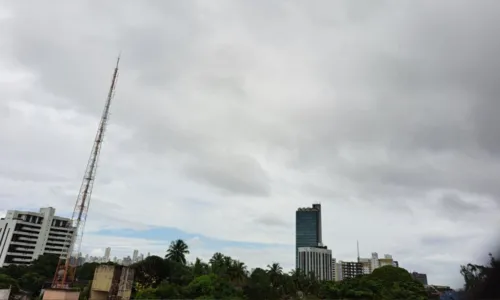 
				
					Temperatura mínima em Salvador nesta quinta (17) é de 23ºC; confira previsão
				
				