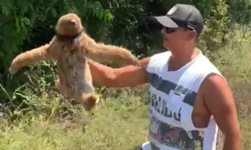 
				
					VÍDEO: homem retira bicho-preguiça da BA-001
				
				