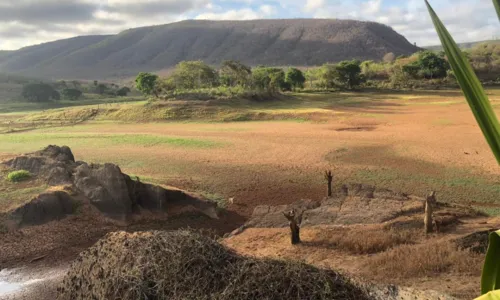 
				
					Vídeo: moradores de cidade atingida pela seca na Bahia oram por chuva
				
				