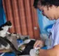 
                  Campanha de Vacinação Antirrábica protege quase 30 mil animais