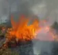 
                  Fogo destrói 500 hectares do Parque Nacional do Monte Pascoal