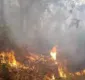
                  Incêndio atinge área de vegetação de terra indígena na Bahia há 3 dias