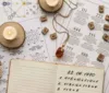 Trabalho, amor e dinheiro: confira a previsão da numerologia para 2024