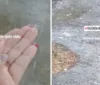 VÍDEO: Chuva de granizo é registrada na cidade de Laje, na Bahia