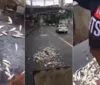 VÍDEO: Homens jogam sardinhas no entorno da Fonte Nova antes do BaxVi