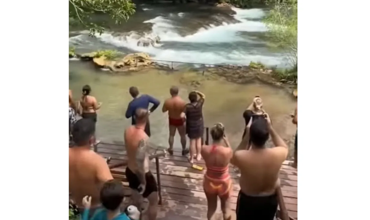 Havia um grande grupo de pessoas no rio quando a cobra gigantesca apareceu
