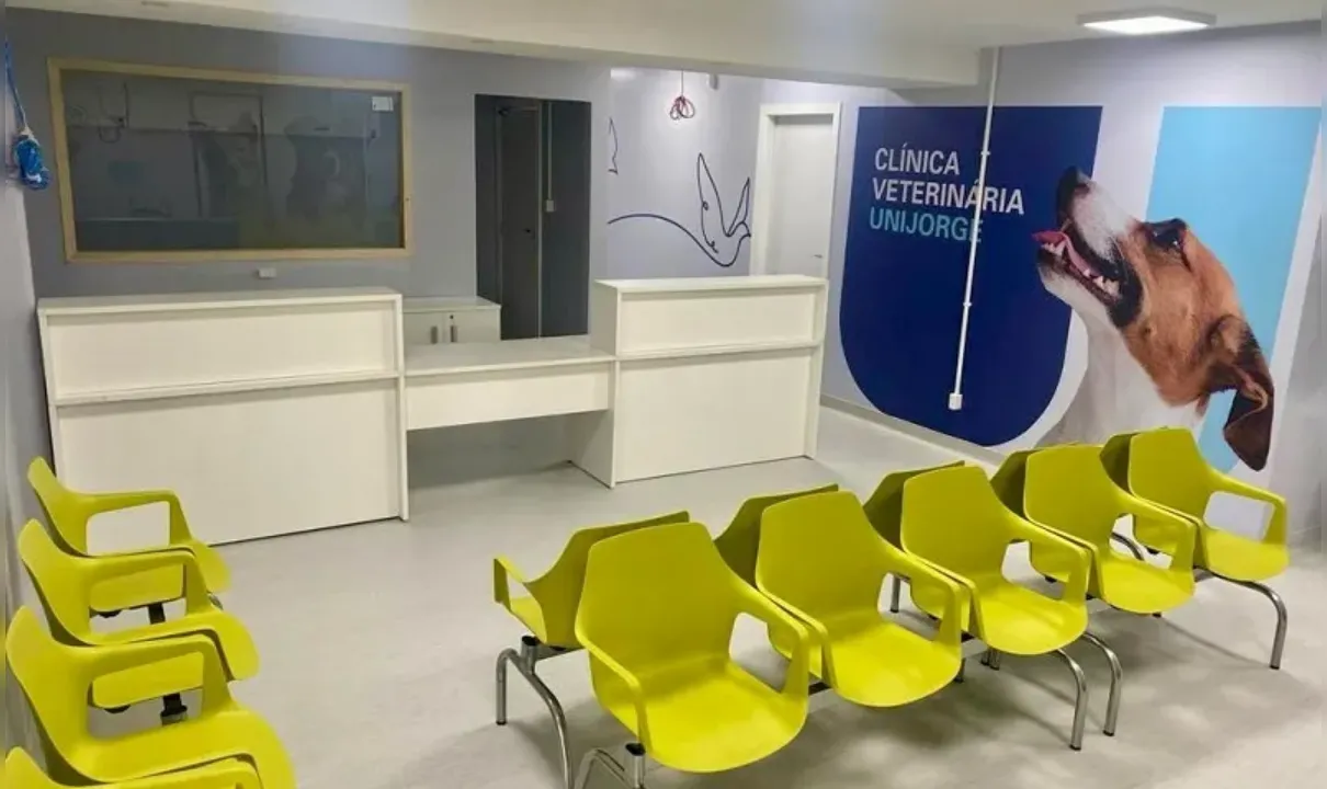 Clínica veterinária de faculdade tem atendimento gratuito em Salvador