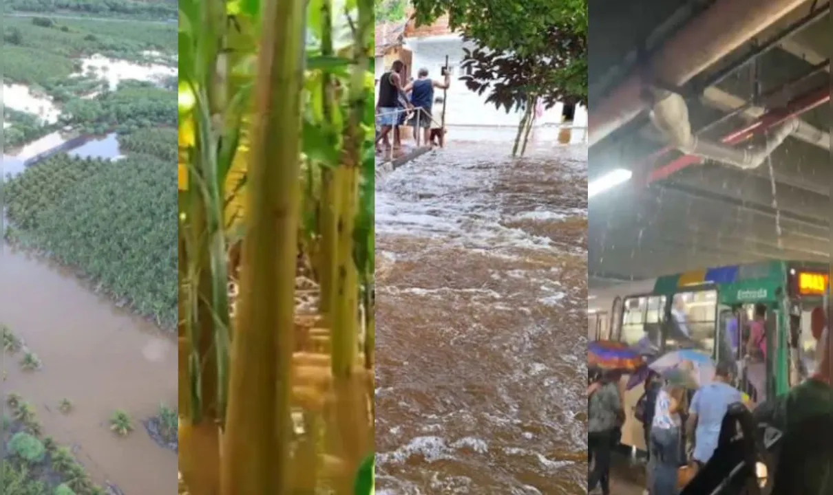 Cidades baianas como Jeremoabo, Canudos e Nilo Peçanha foram atingidas por forte chuva nos últimos dias