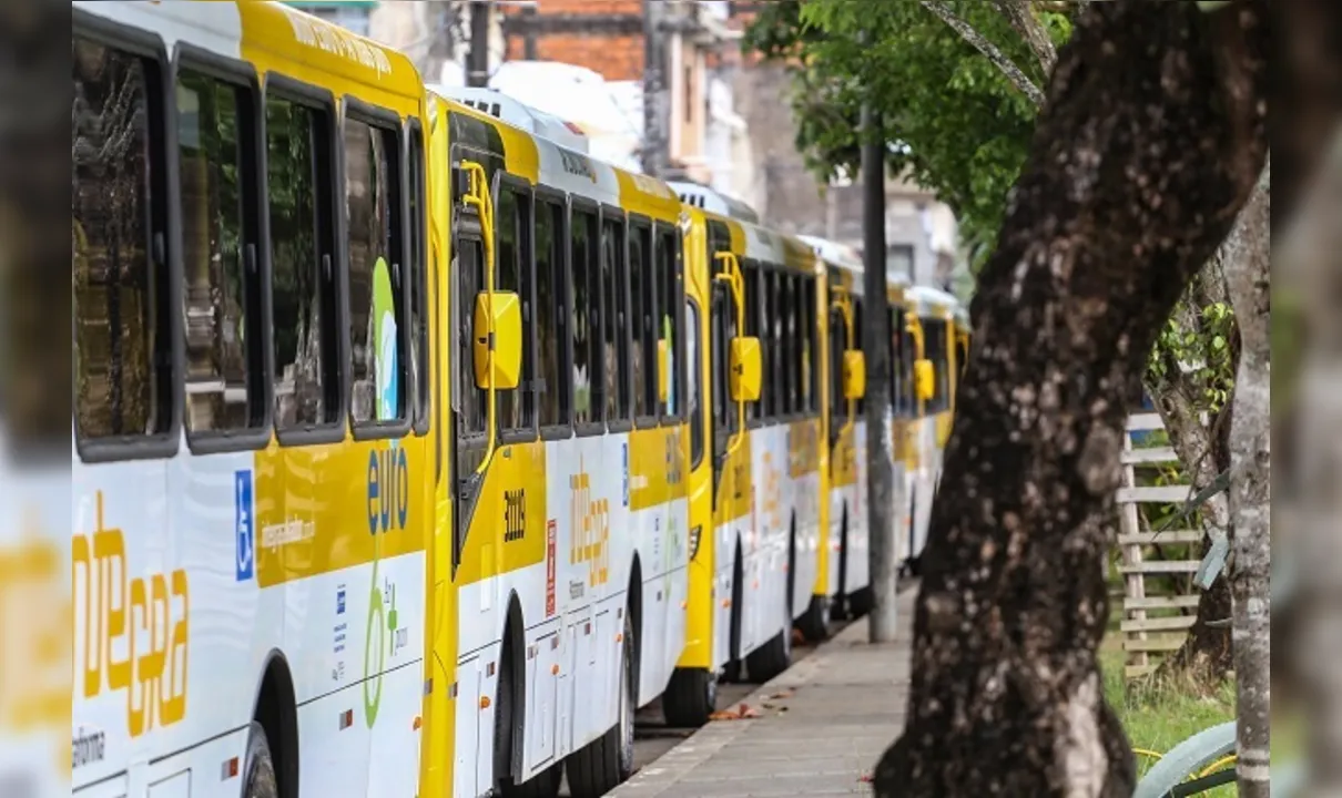 Linhas de ônibus em Paripe terão rotas modificadas por obras em rua
