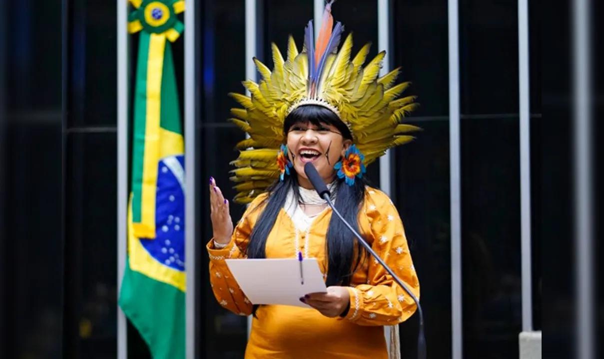 A proposta de recursos à candidaturas indígenas foi apresentada pela deputada Célia Xakriabá (Psol-MG)