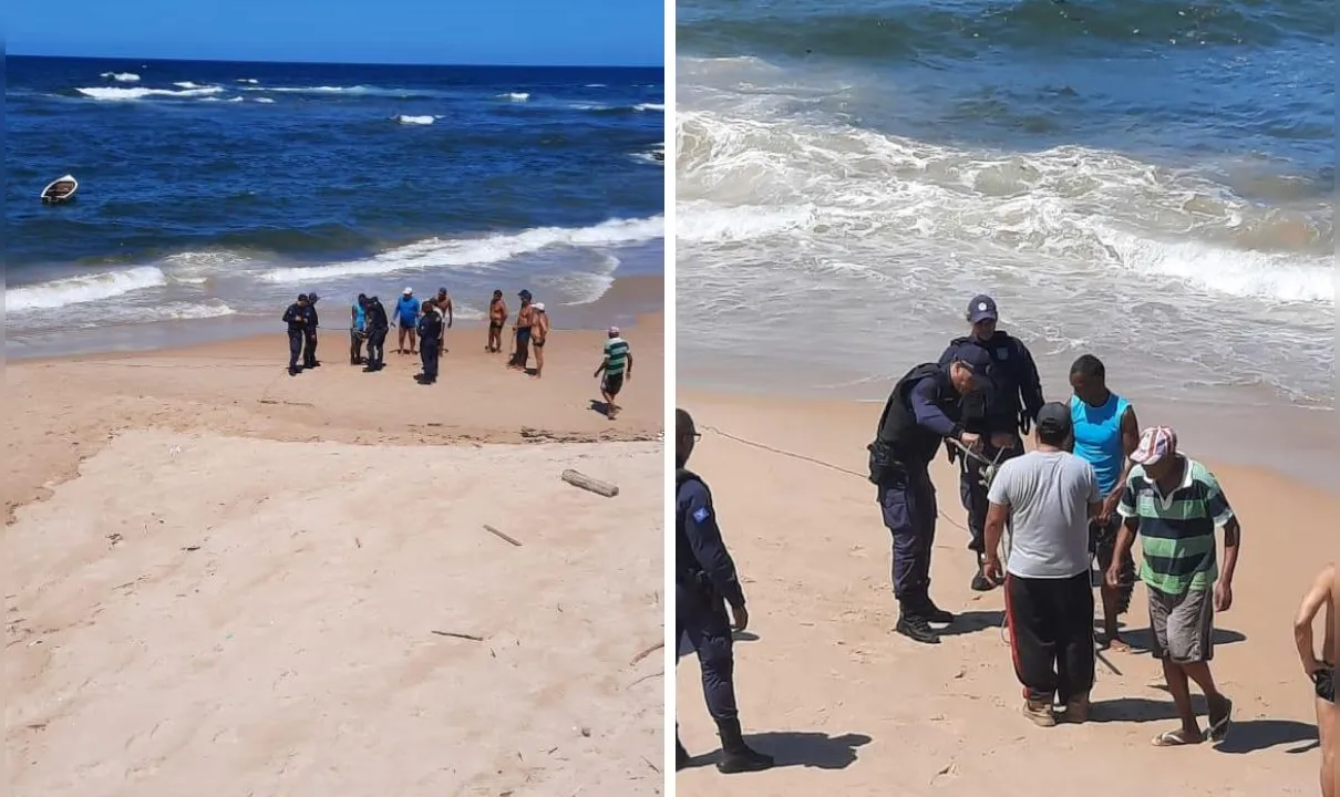 VÍDEO: jacaré é resgatado na praia da Pituba, em Salvador