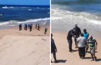 VÍDEO: jacaré é resgatado na praia da Pituba, em Salvador
