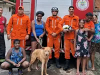 Cachorro é resgatado de buraco em Salvador após ficar dois dias preso