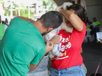 Cajazeiras recebe mutirão de vacina V10 gratuita para cães