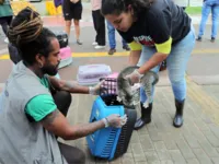 Cerca de 250 gatos são retirados da Colônia de Piatã, em Salvador