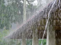 Coelba alerta para cuidados com rede elétrica durante as chuvas na BA