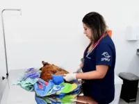 Hospital Público Veterinário atende mais de 160 animais no 1º dia